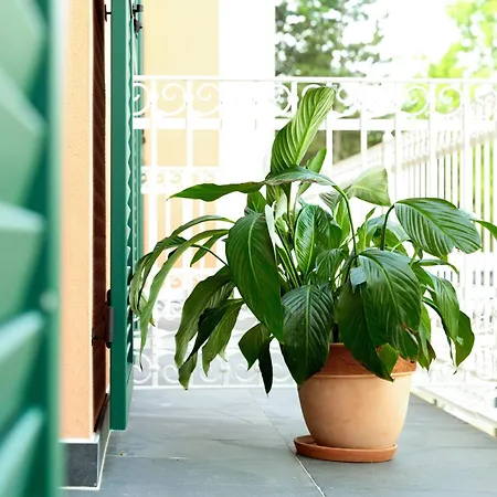 Kim Im Park Ξενοδοχείο 4*