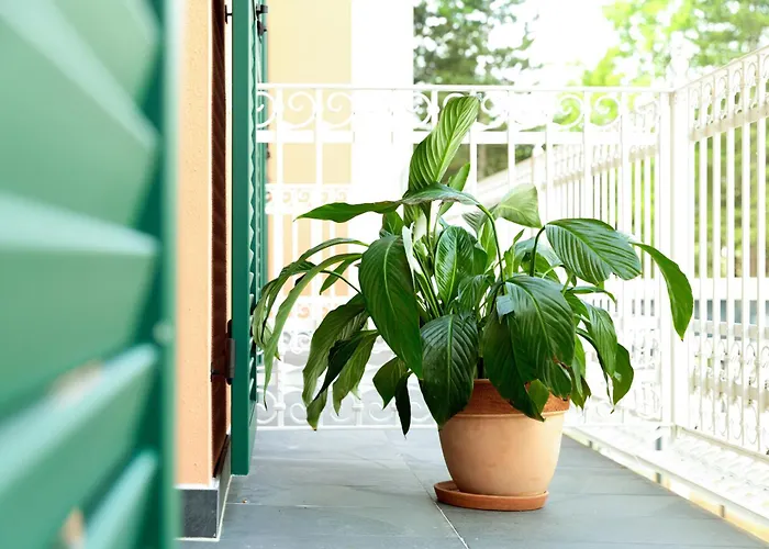 Kim Im Park Hotel 4*